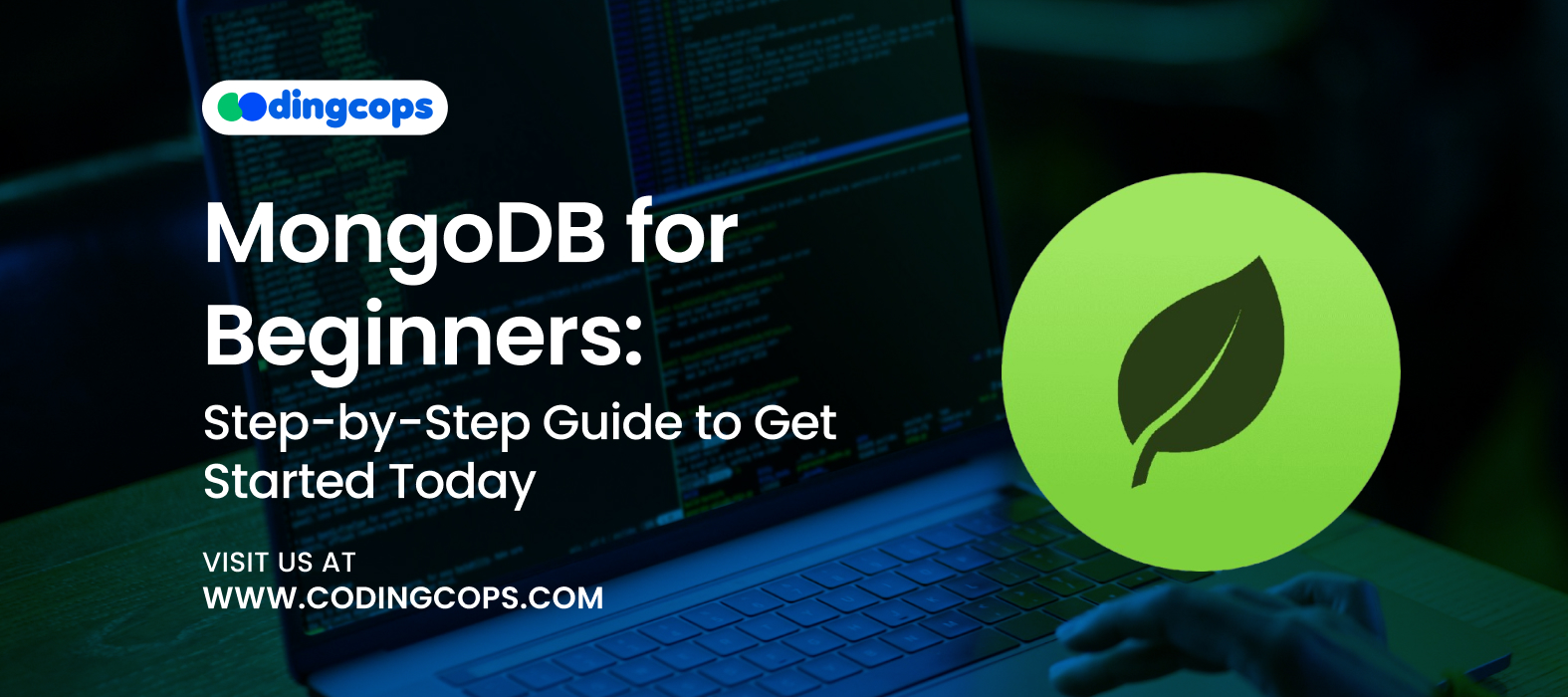 MongoDB for Beginners