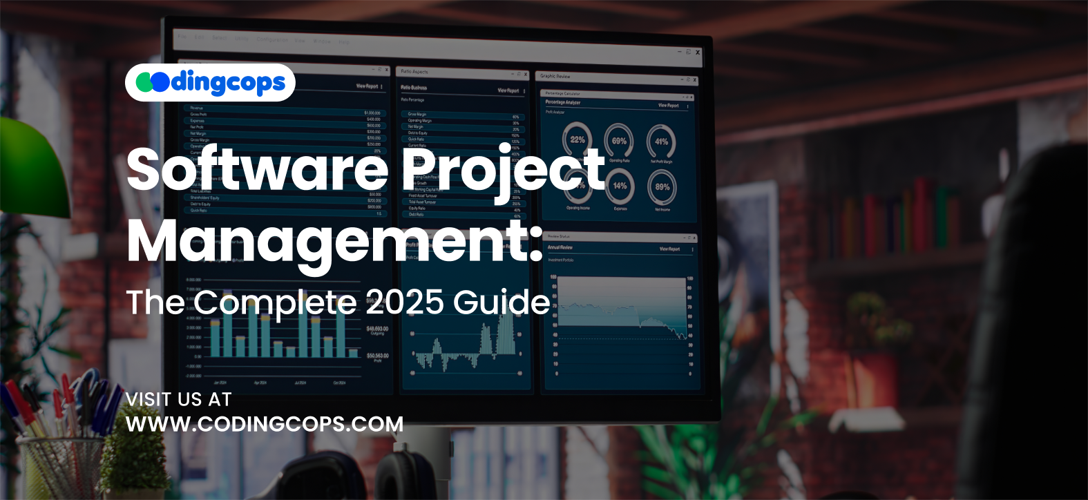 Software Project Management